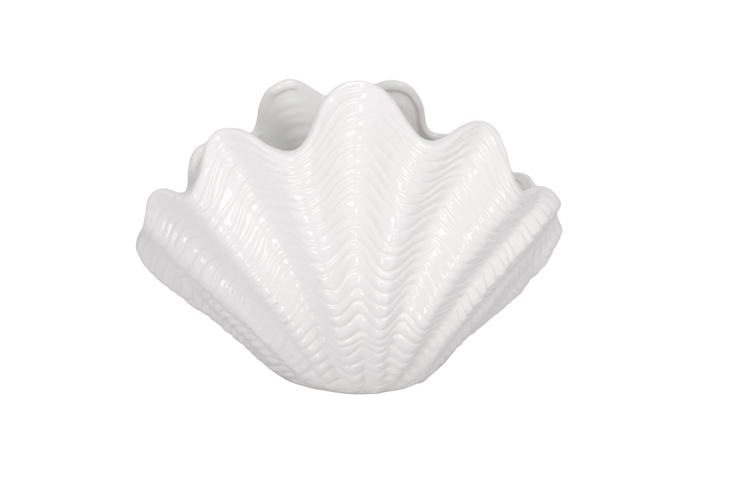 Alurine White Ceramic Shell