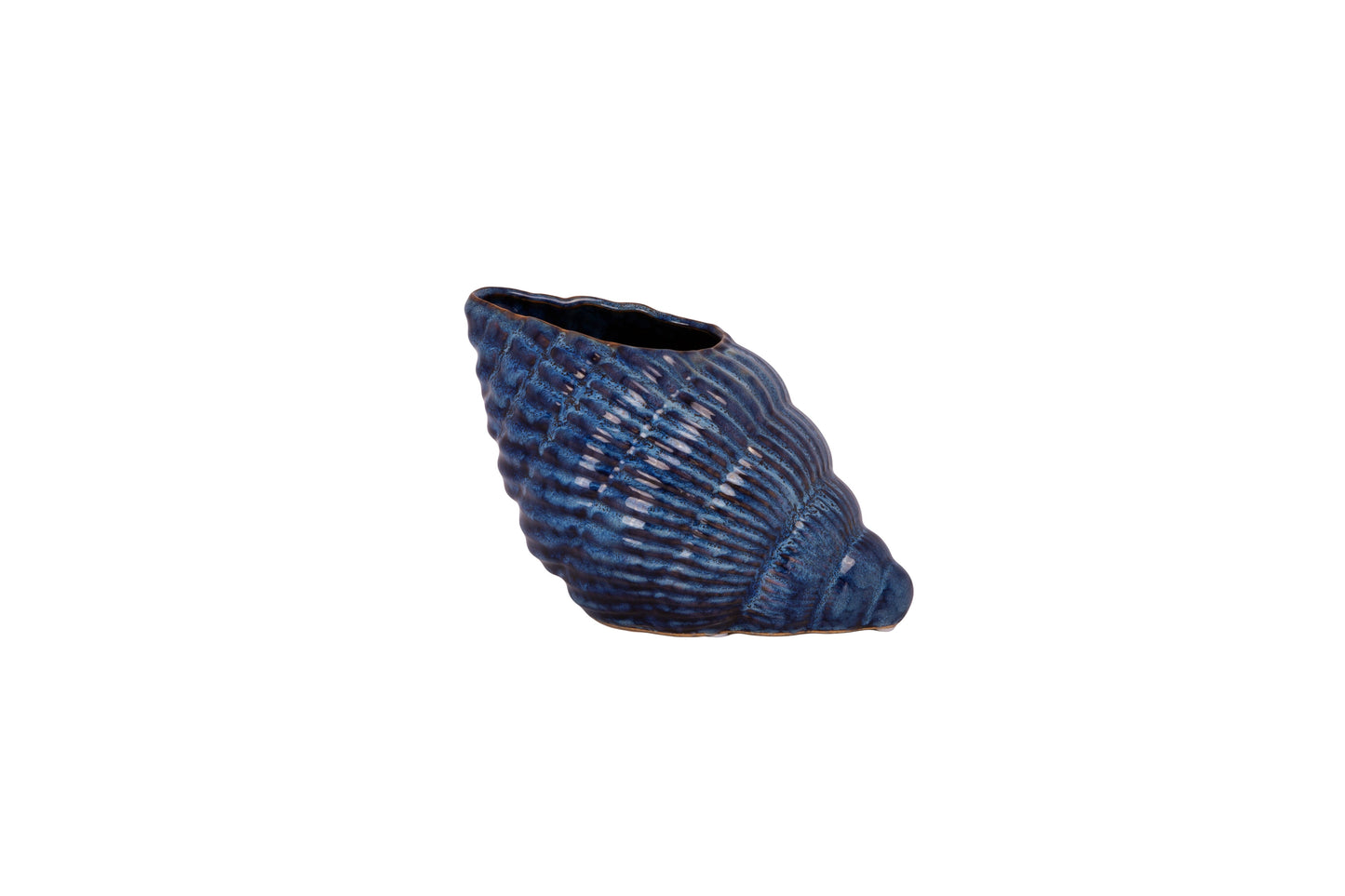 Ceramic Shell Vase -