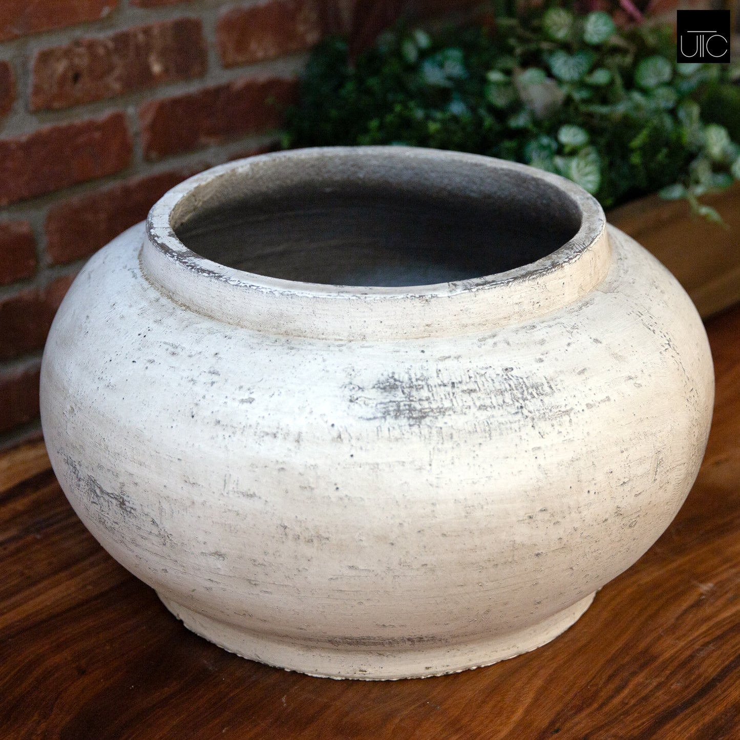 Aurenne Cement Flower Pot