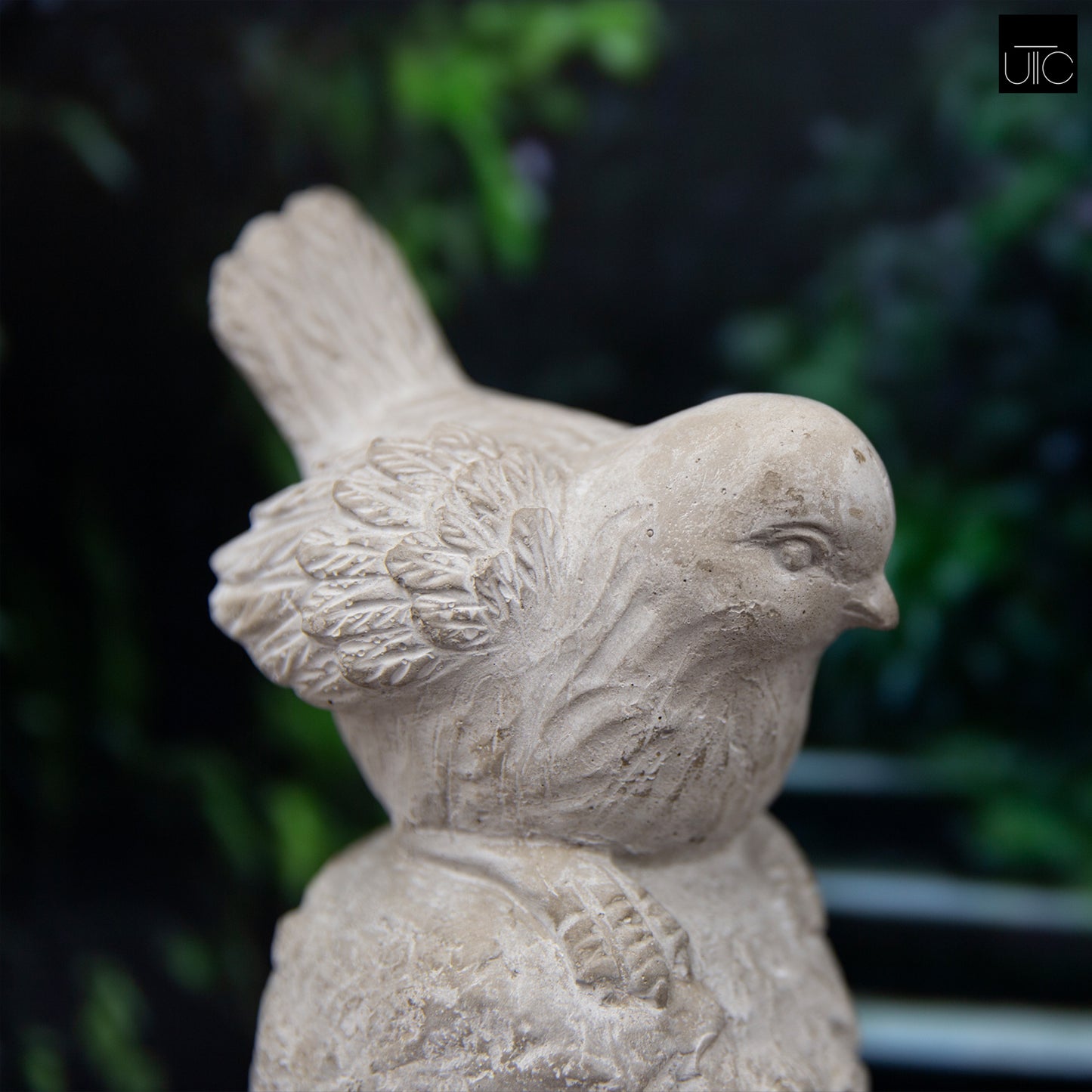 Noley Downward Gaze Cement Bird Figurine