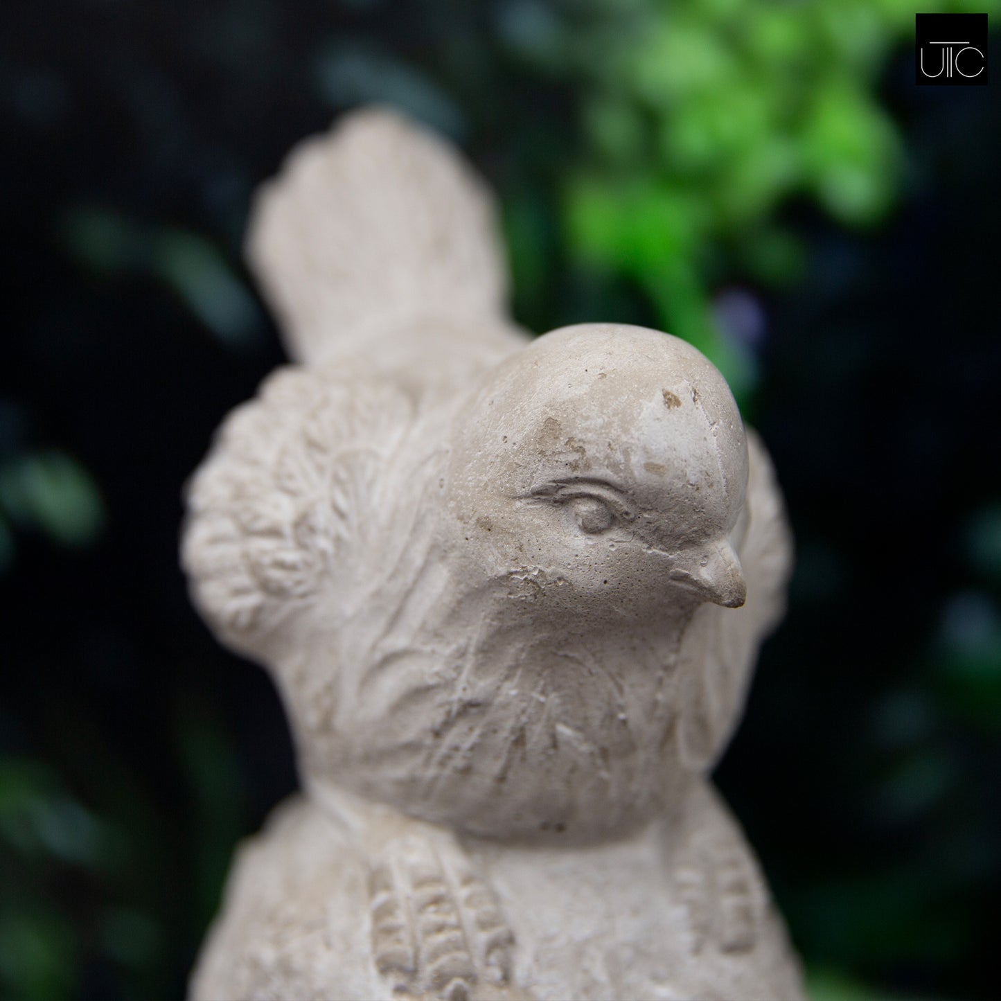 Noley Downward Gaze Cement Bird Figurine