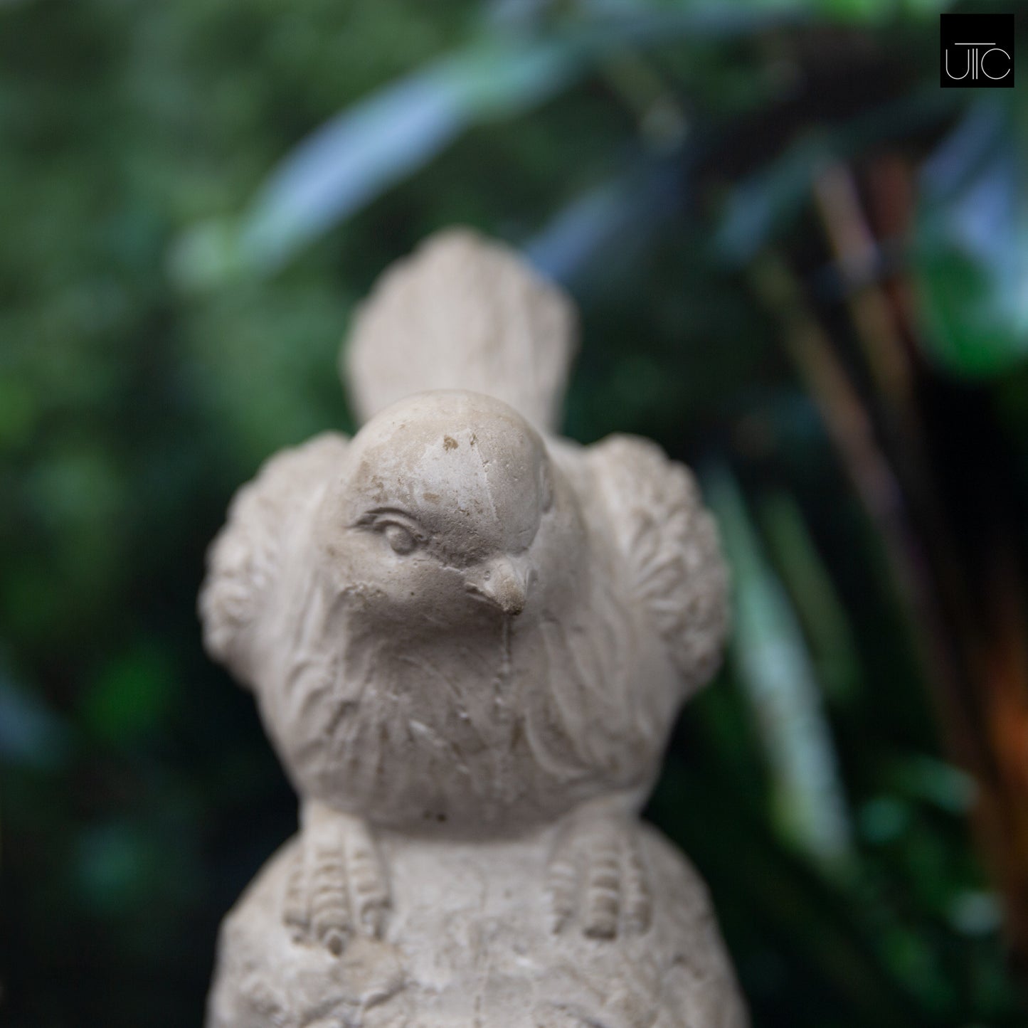 Noley Downward Gaze Cement Bird Figurine