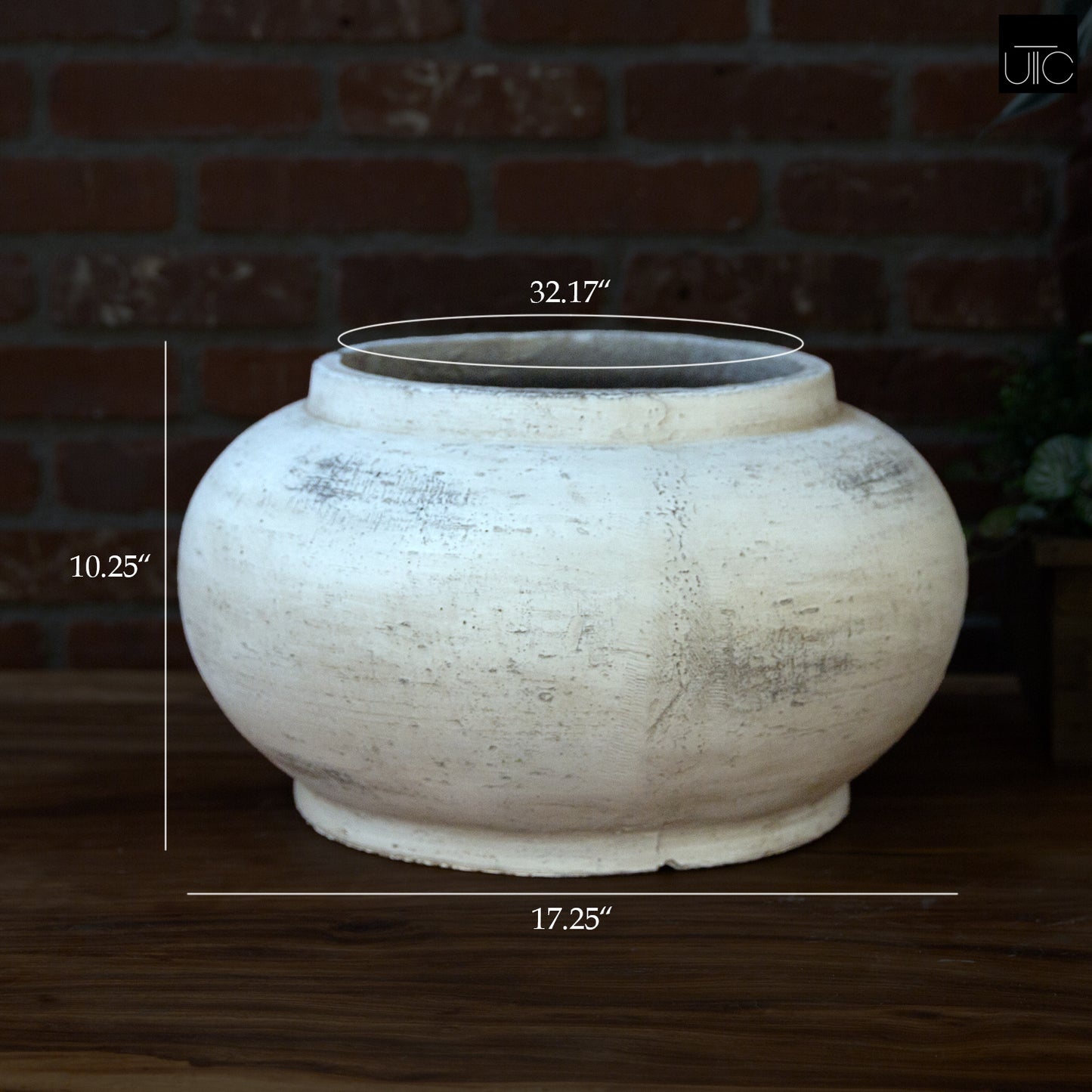 Aurenne Cement Flower Pot