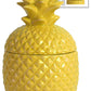 Ceramic Canister Gloss Finish 7.25"H